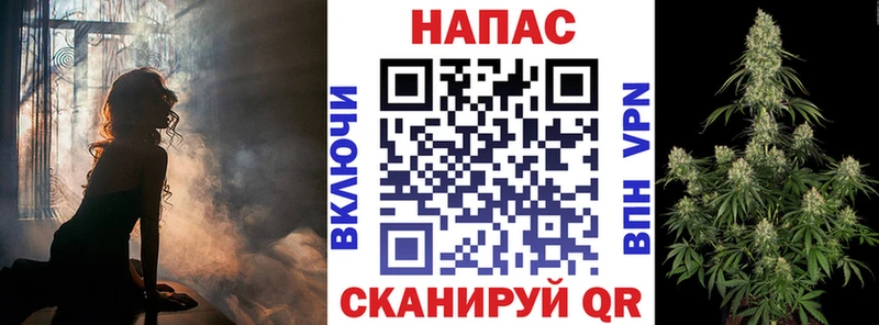 купить   Отрадное  Бошки марихуана ГИДРОПОН 